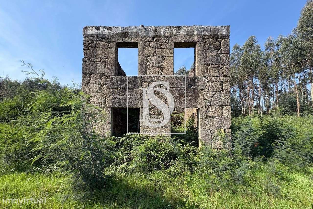 Terreno de 6.980m2 com ruína em Tondela - Grande imagem: 4/17