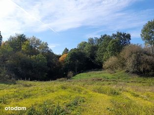 Działka rolna 3,55 ha - Pełny obrazek: 4/20