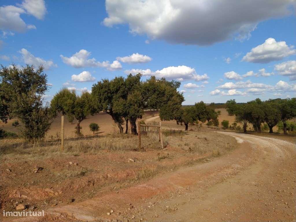 Herdade com 110 ha próximo da Vila de Redondo - Grande imagem: 5/14