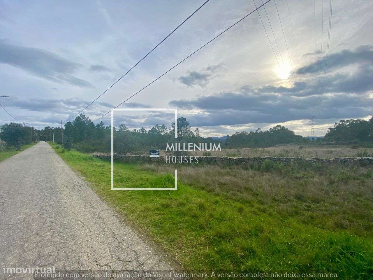 **Terreno Excecional em Sarnadas de Rodão**-8