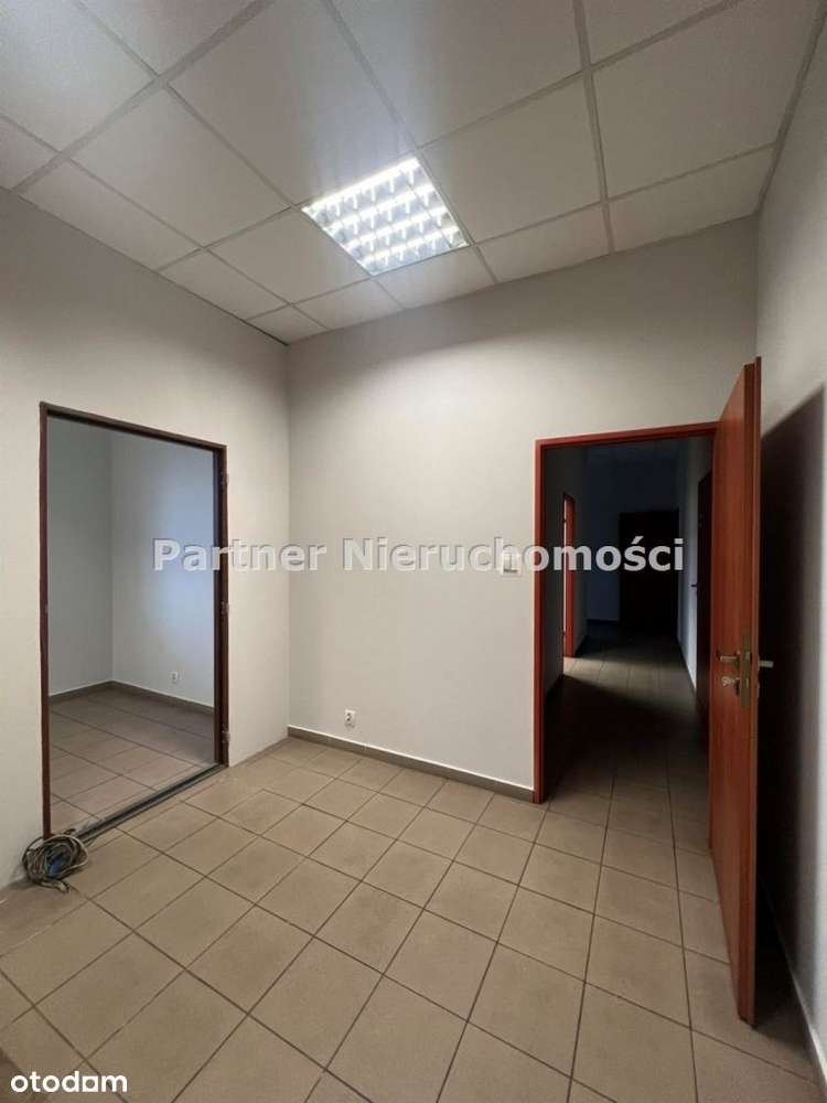 Hala Magazynowo - Produkcyjna ! Toruń ! 470m!!! - Pełny obrazek: 5/6