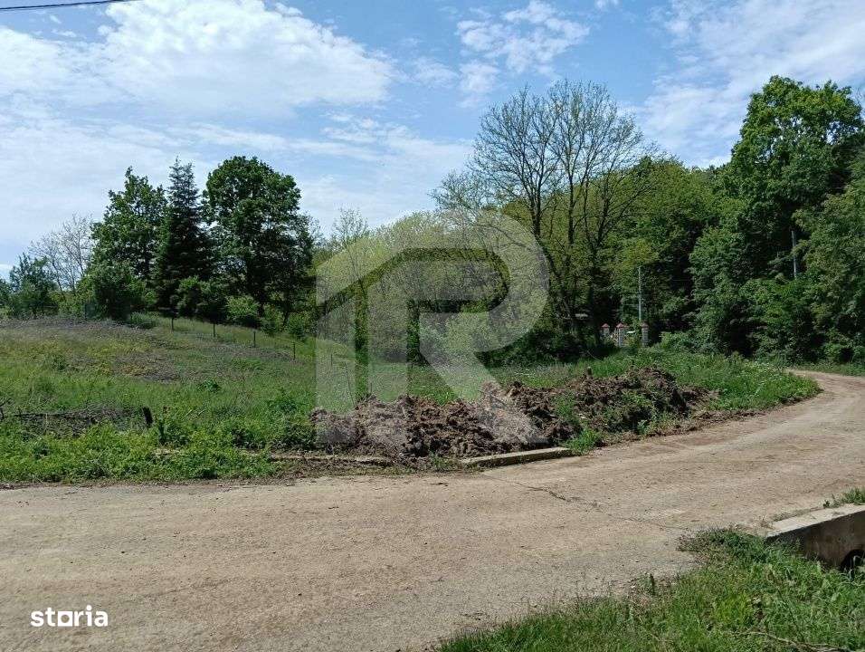 intravilan Tiparesti, relaxare aproape de padure - Imagine principală: 5/8