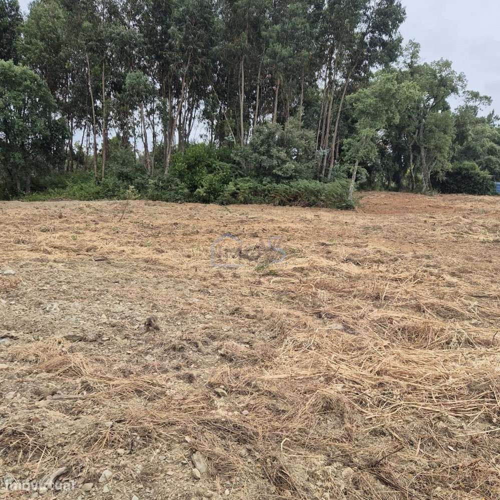 Terreno com 4.560 m² e Viabilidade de Construção – Casais, FZZ-12