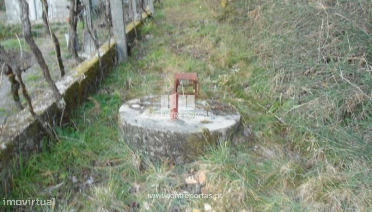 Venda Terreno, Campelo, Baião - Grande imagem: 3/8