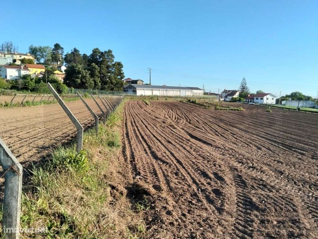 Terreno urbanizável com 19 m de frente- Branca / Albergaria-a-Velha-10
