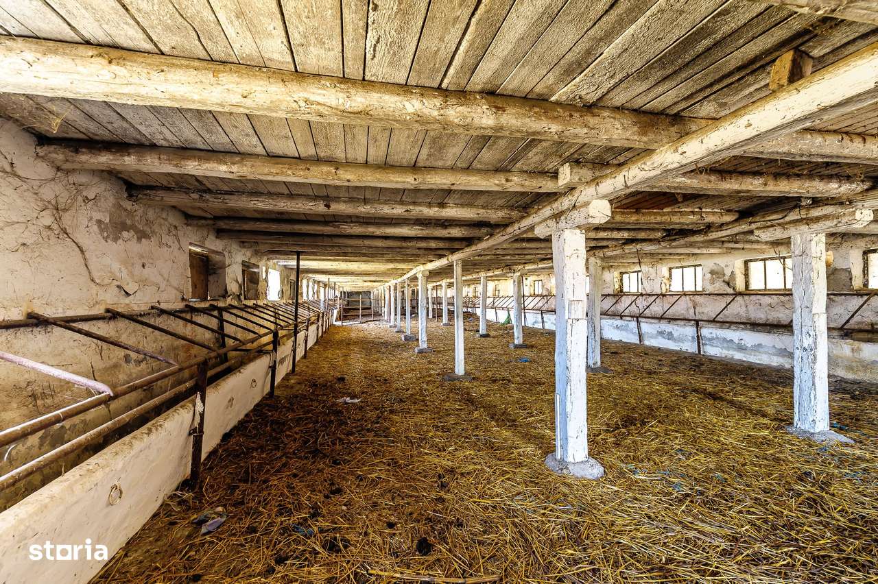 Fermă Mândruloc 2,5 ha - Imagine principală: 5/14