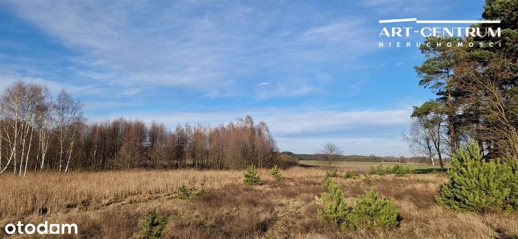 Działki przy lesie - Pełny obrazek: 3/4