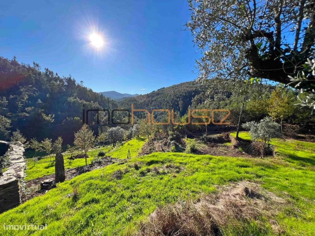 Quinta Isolada com Margem de Rio e Potencial de Eco-Retiro - Arouca-21