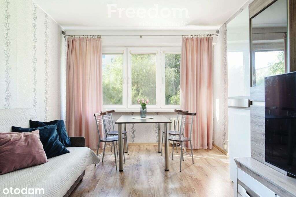 2-pokojowe mieszkanie w atrakcyjnej lokalizacji - Pełny obrazek: 1/11