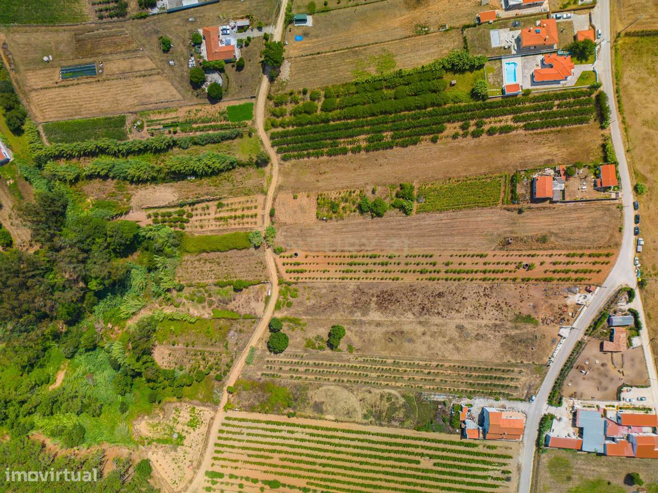 Terreno na Usseira-14