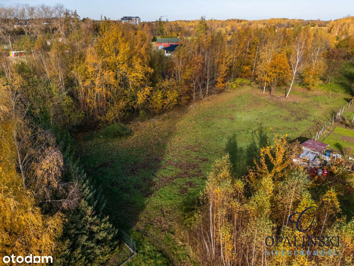 Kameralna okolica | Krakowska | WZ | Zieleń-8