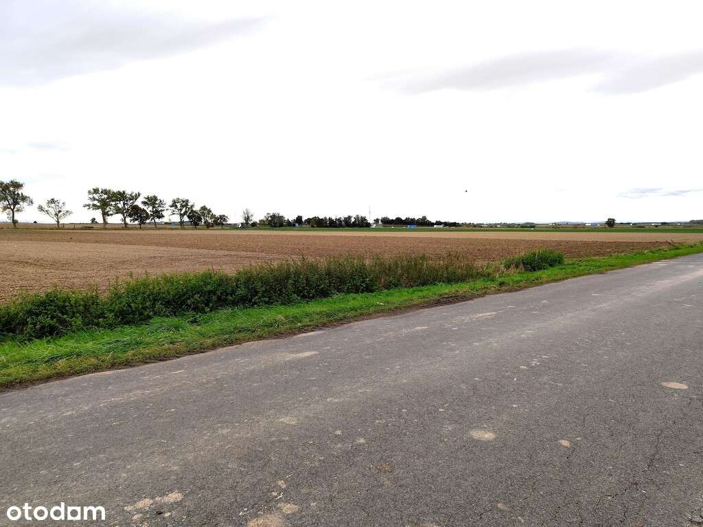 Działka | Pod inwestycję |Kostomłoty |Węzeł A4-6