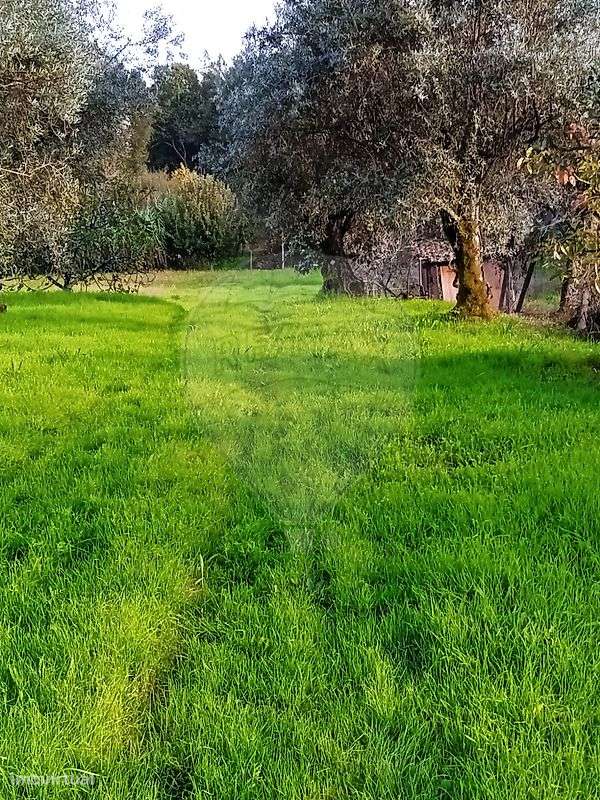 Terreno  para venda - Grande imagem: 4/13