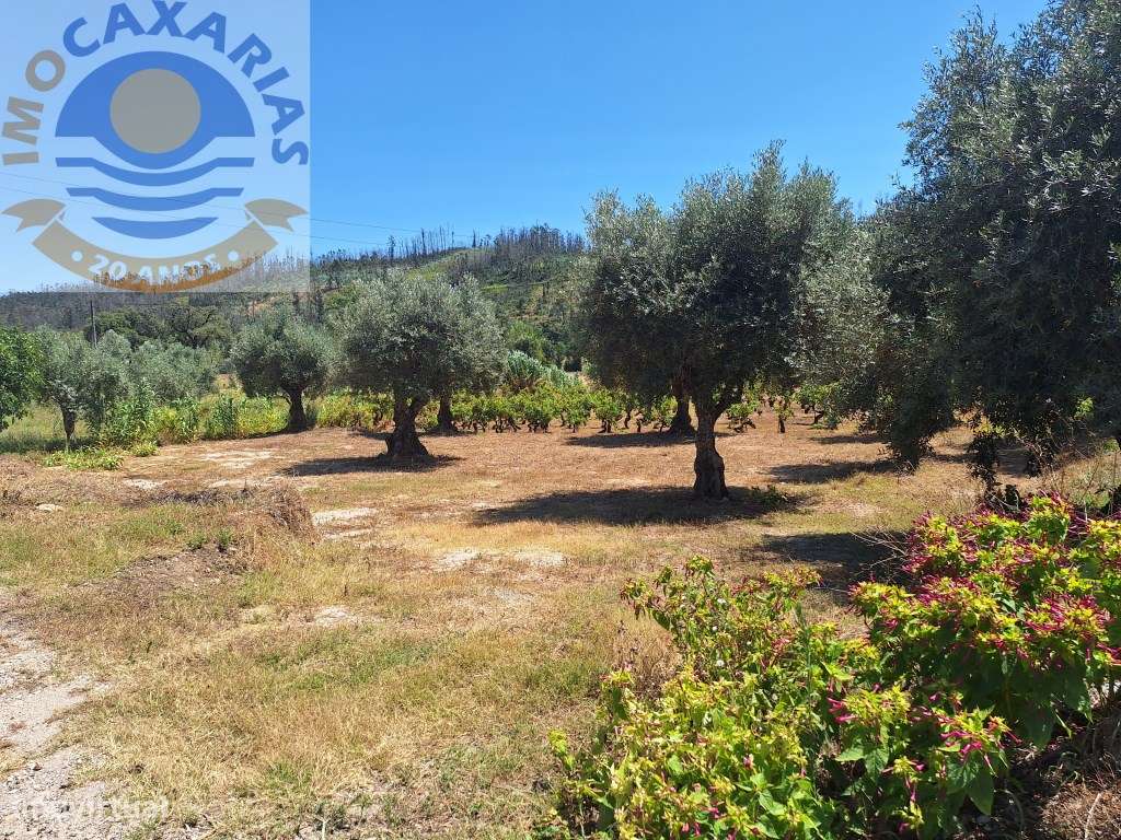 Terreno para construção 1972m2 - Grande imagem: 5/8