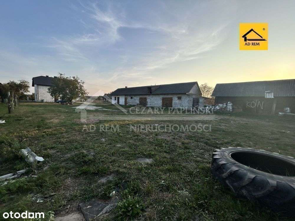 Ogrodniki, działka 5 900 mkw-4