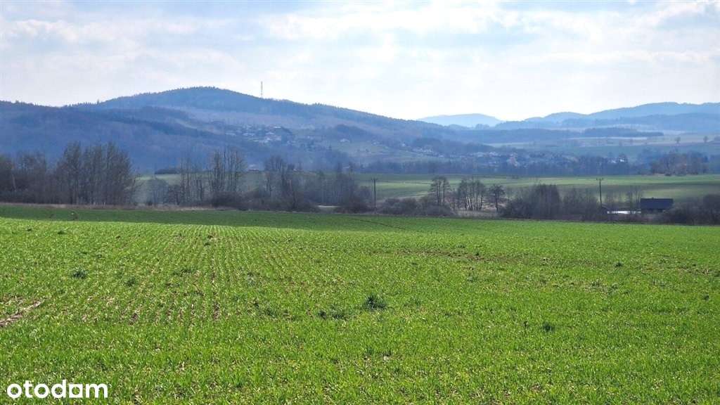 Działki widokowe Osada Julianów - Pełny obrazek: 4/20