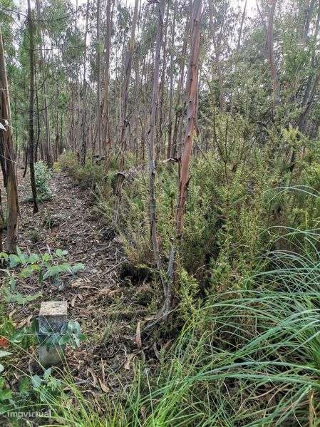 Terreno em área urbana - Grande imagem: 5/10