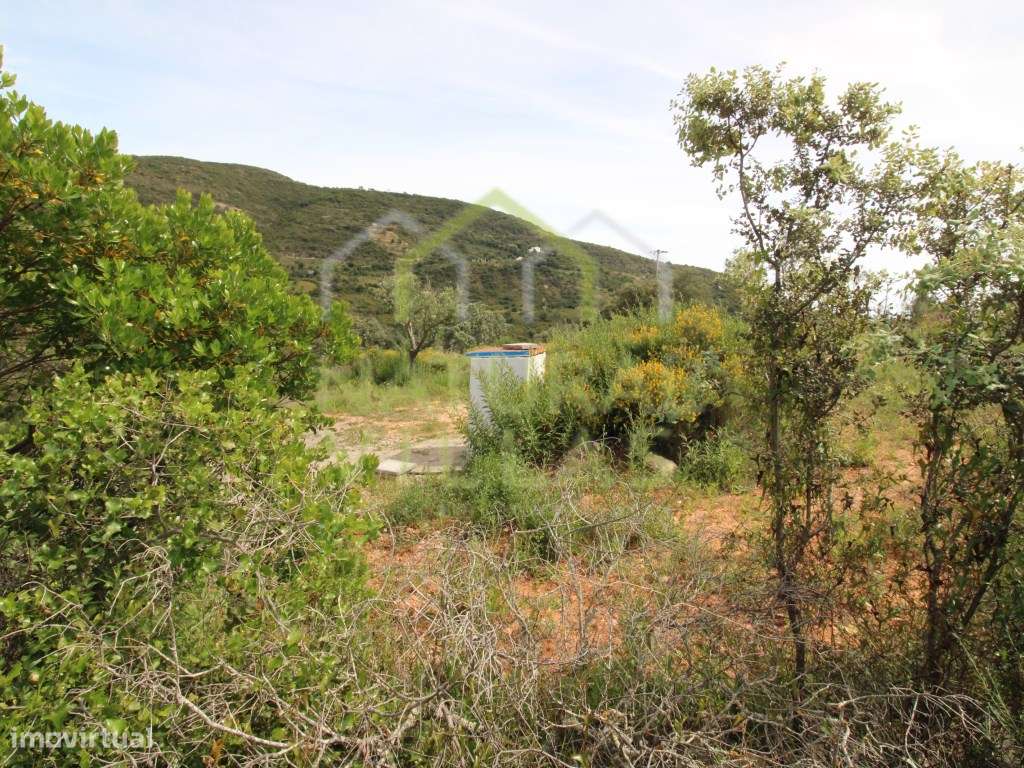 Terreno Rústico com Vista Mar em Fialho, Estoi - Grande imagem: 4/7