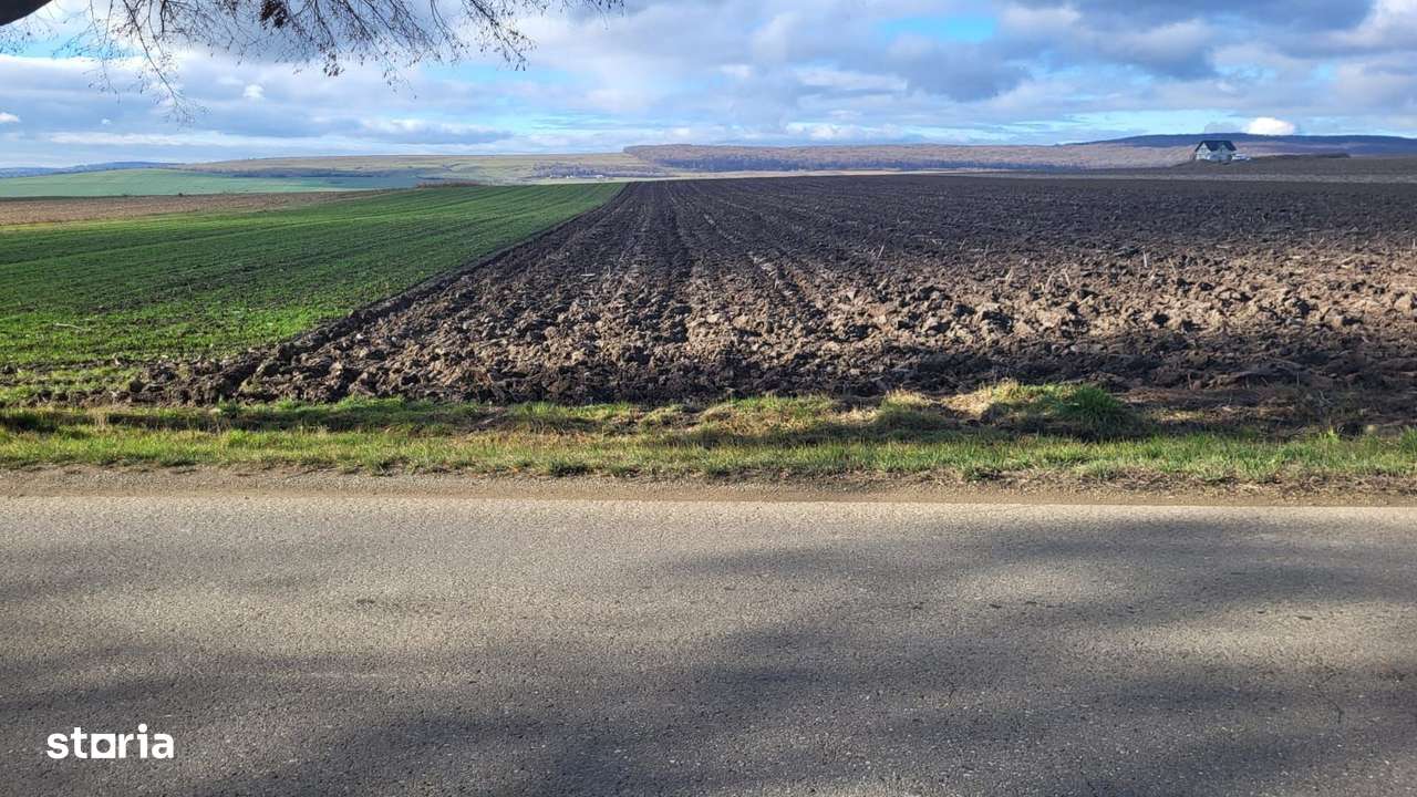 Teren 36 Ari | Mitocu Dragomirnei | 25.500 €-2