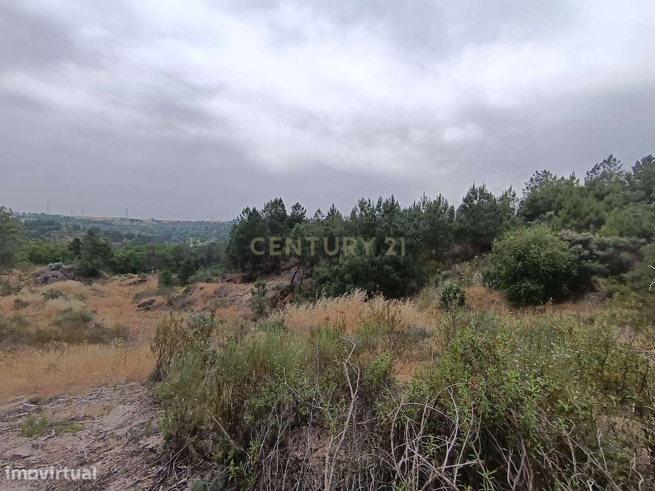 Terreno rustico com 9680 m2, em Palvarinho ( Barroca do Rato ) - Grande imagem: 3/8