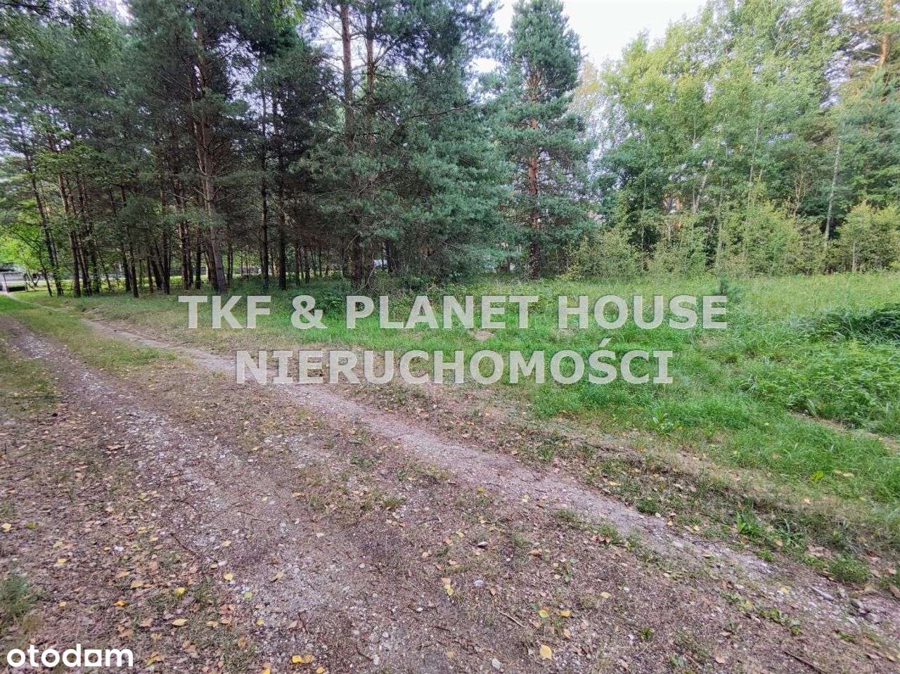 Działki pod budowę domów- Inowłódz - Pełny obrazek: 5/7