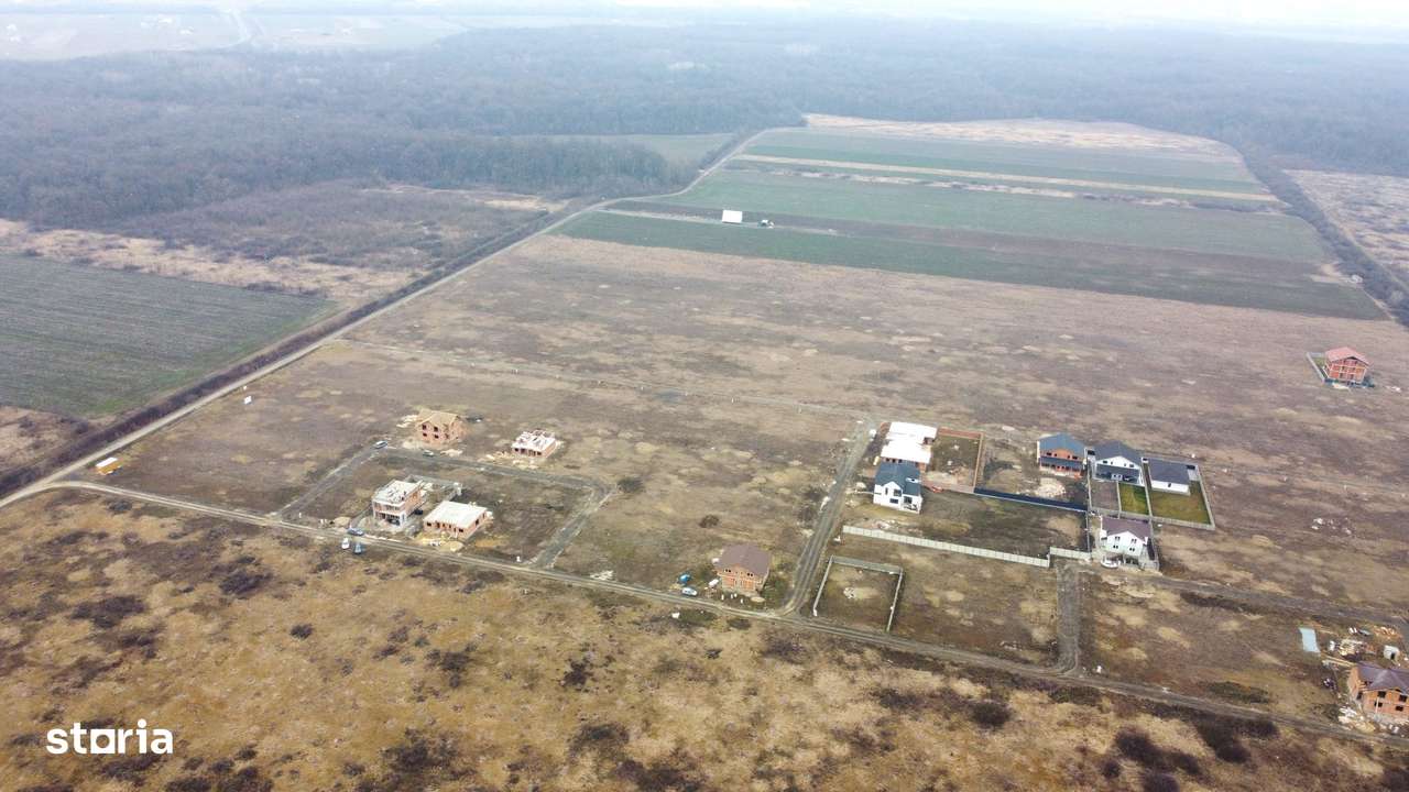 Terenuri Mosnita, Padurea Bistra, gaz, apa, curent: 80euro/mp+TVA - Imagine principală: 3/8