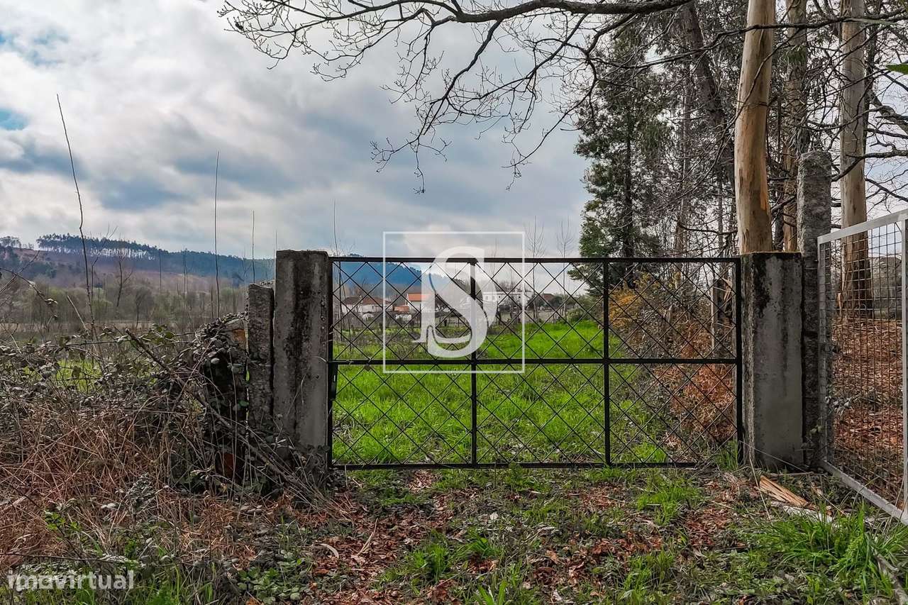 Terreno PLANO, agricola, para venda! - Grande imagem: 4/21