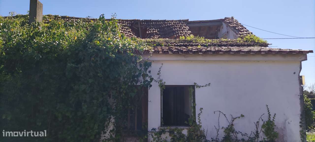 "Quintinha" de 5.100 m² na Moita Poço - Turquel - Grande imagem: 4/13