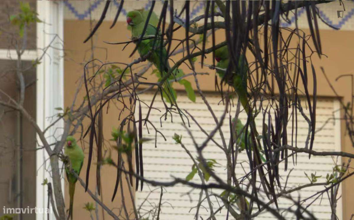 Apartamento com 2 quartos - localizado em Amadora Lisbon - Grande imagem: 2/10