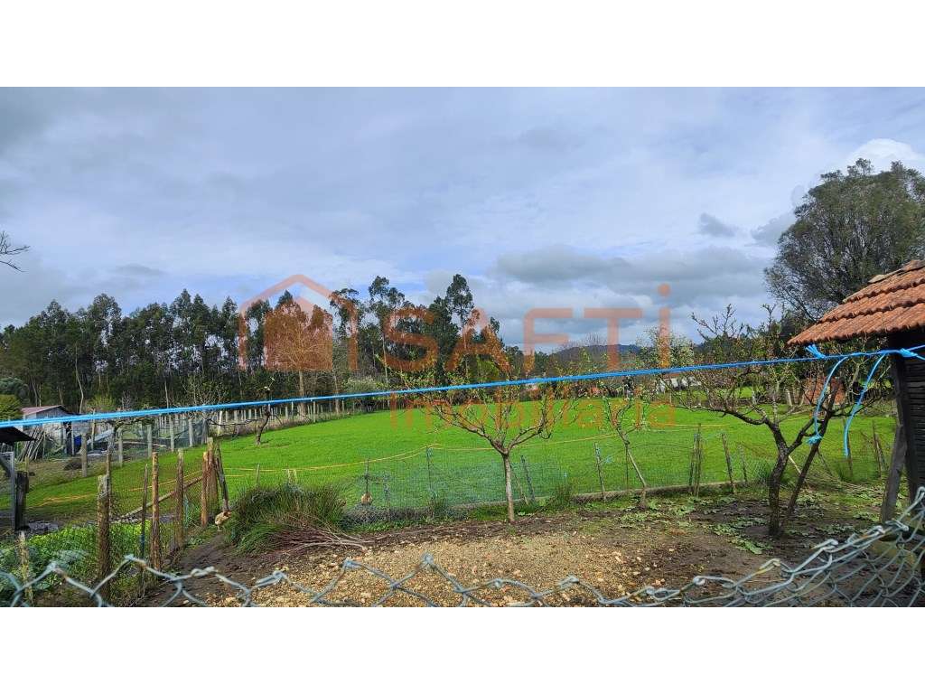 Moradia T4 para recuperar, Vilar das Almas - Ponte de Lima - Grande imagem: 4/14