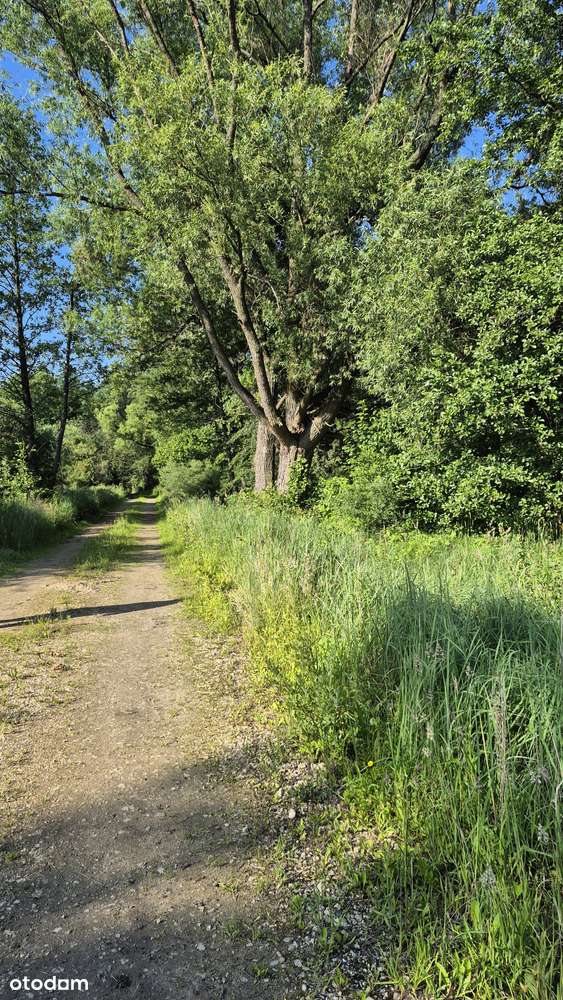 Działka Łazy 1194mkw-5