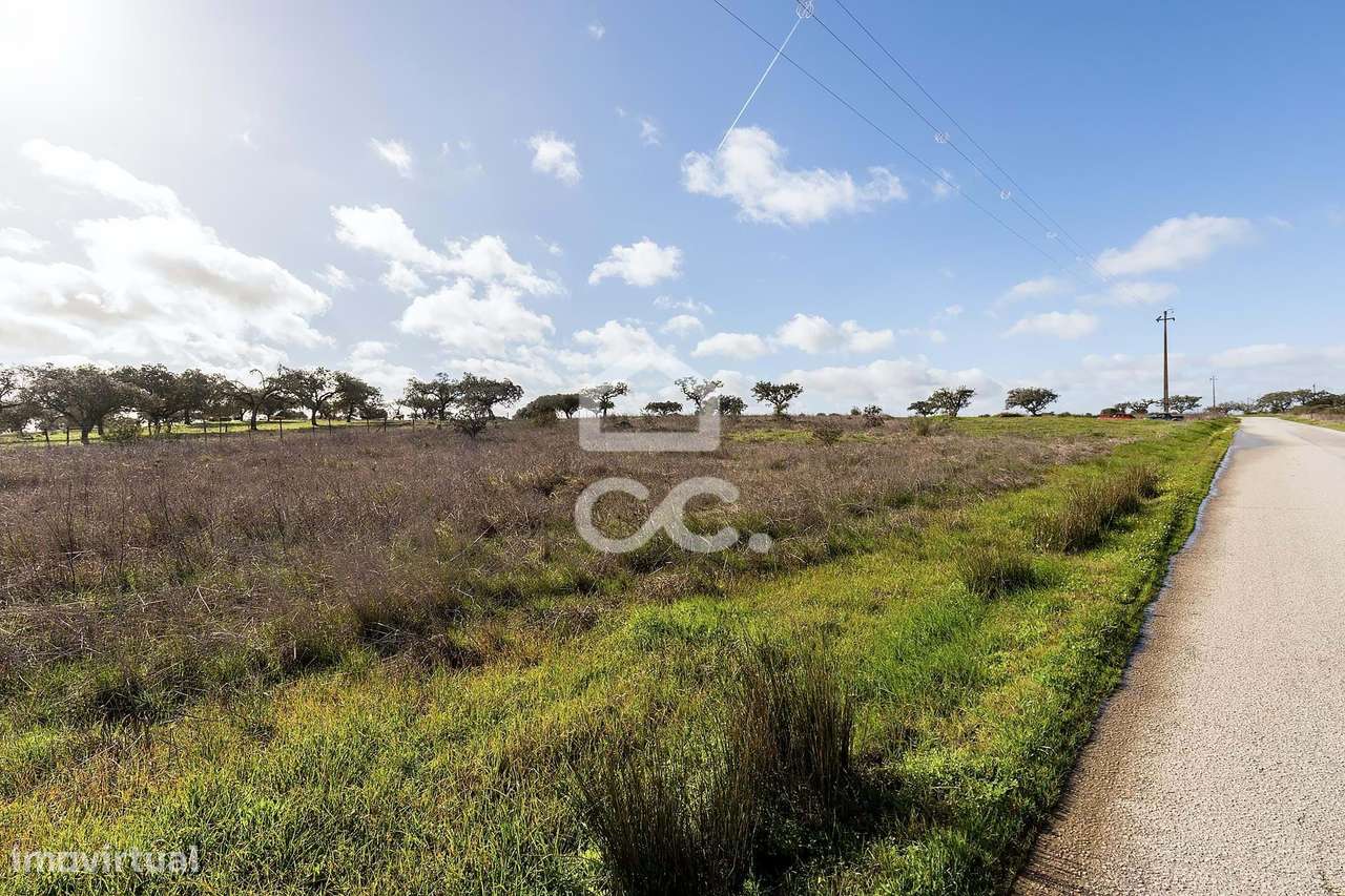 Terreno de 5,4 ha c/ Viabilidade de Construção | Capelins, Alandroal-5