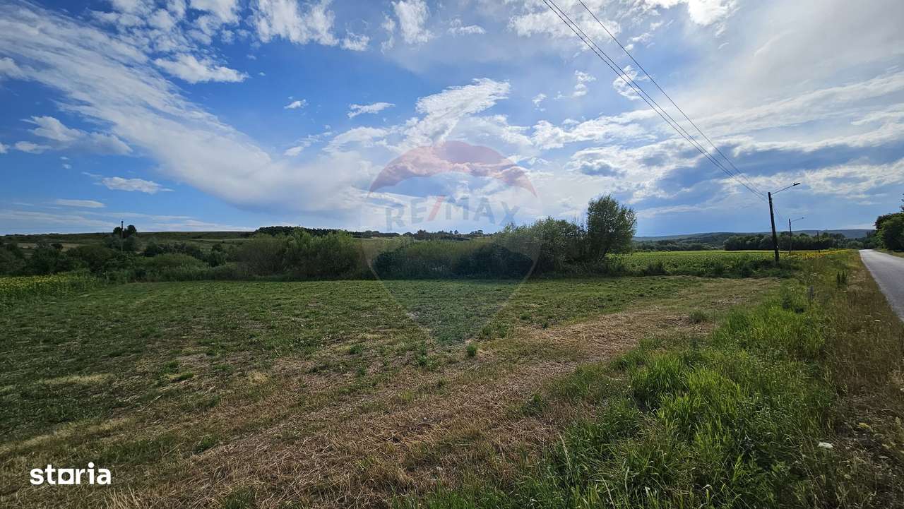 Teren extravilan 12000 mp- Pădureni-Șendriceni, Botoșani - Imagine principală: 4/4