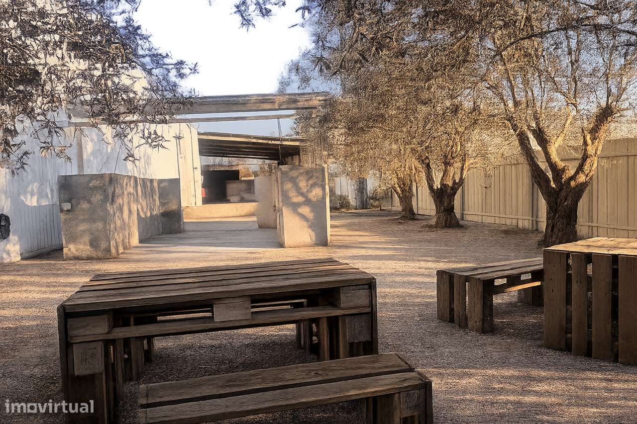 Armazém em Alféloas, Anadia-21