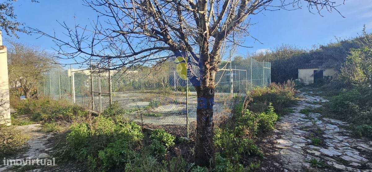 Moradia T3 Cartaxo-11