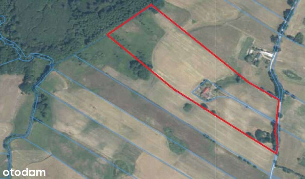 Na sprzedaż siedlisko na Pojezierzu Drawskim.-5