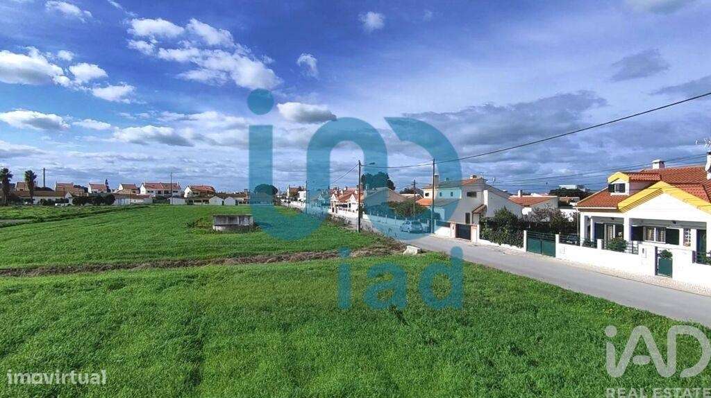 Terreno em Atalaia E Alto Estanqueiro-Jardia de 8253,00 m2 - Grande imagem: 5/6