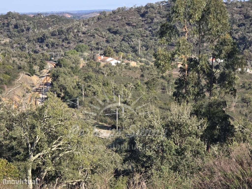 Quinta em Relíquias - Odemira-19