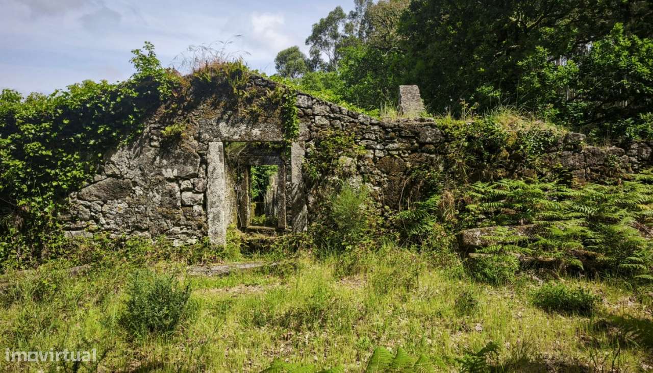 Venda de Quinta, Areosa, Viana do Castelo-0
