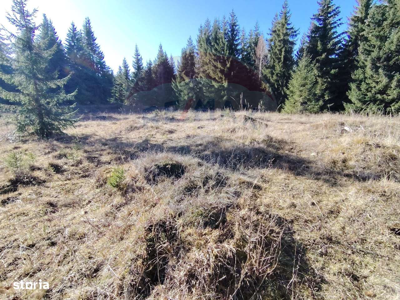 Teren 16,289mp Coverca / Drumul Bucinis-11