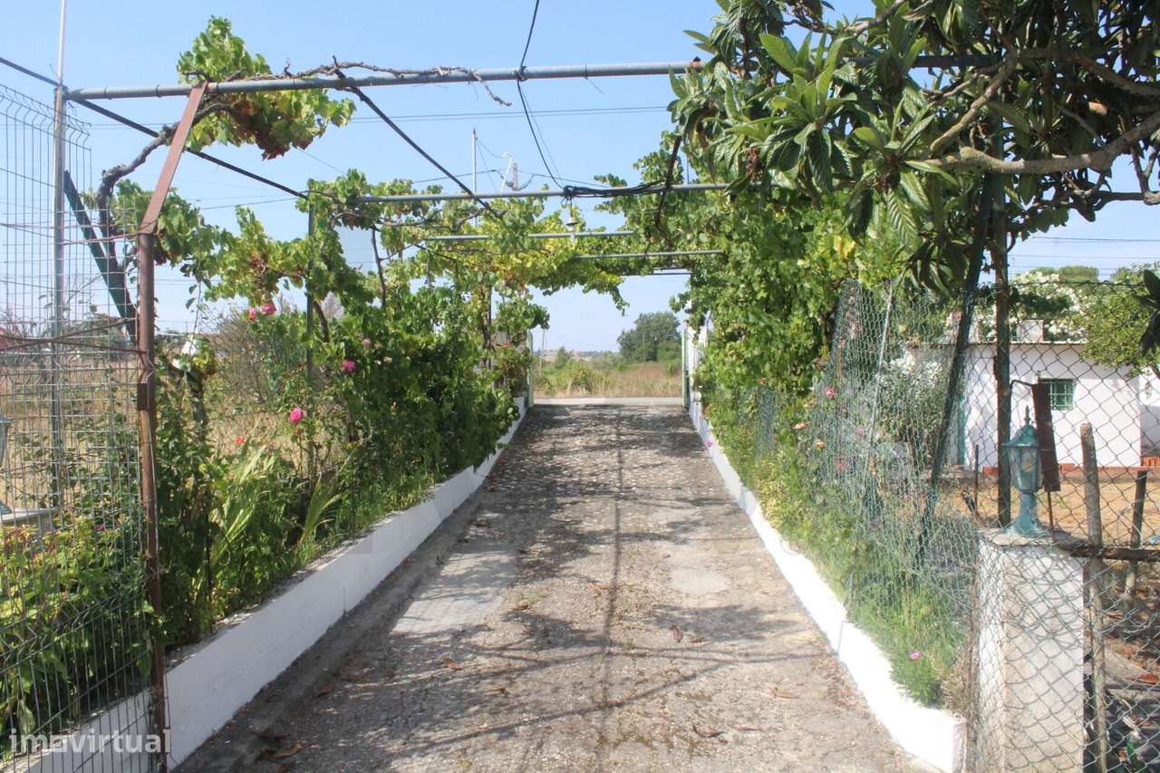 Terreno Urbano em Pontével: Construa o seu Refúgio às Portas de Valada - Grande imagem: 4/9