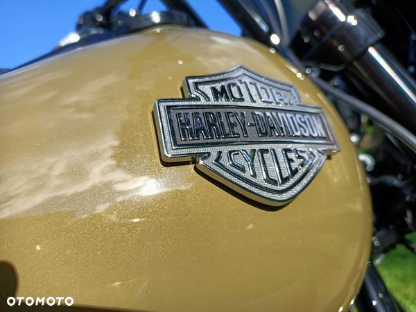 Harley-Davidson Softail Low Rider - 39