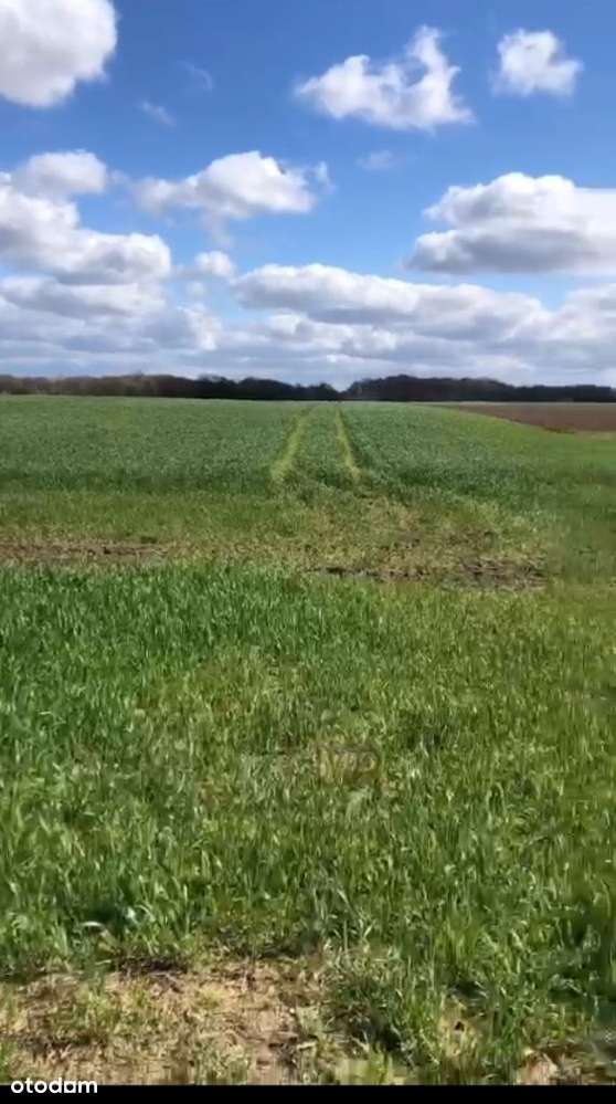 Łekno budowlana do morza 6 km, do lasu 200 metrów raty, brak prowizji-6
