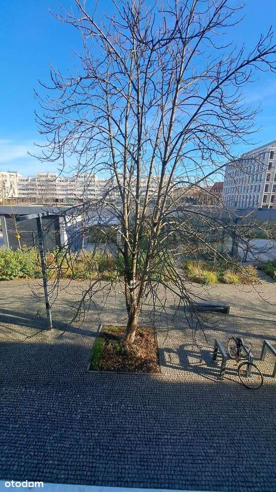 Do sprzedaży 3 pokojowe w ok. Rynku z dwoma balkon-1