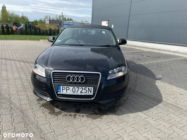 Audi A3 Cabriolet 1.9 TDI DPF Attraction - 11