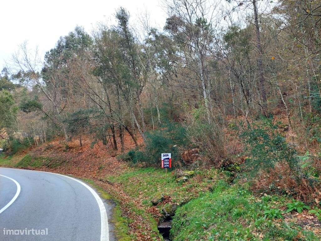 Terreno - Geraz do Minho - Grande imagem: 5/7