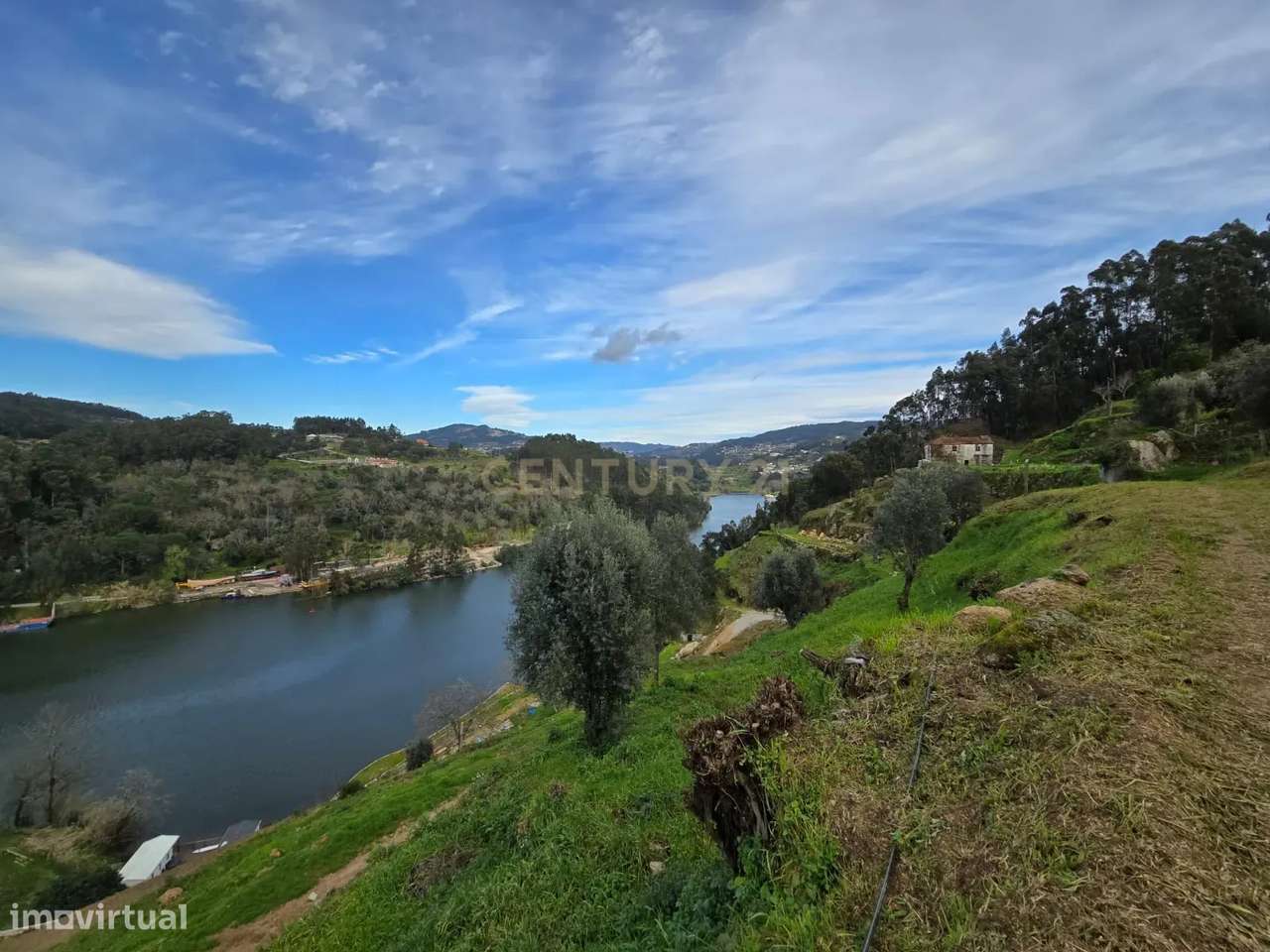 QUINTA COM MARGEM RIO DOURO - Grande imagem: 4/30