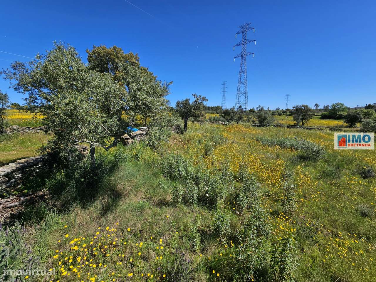 Terreno em Amarelos - 15 min Castelo Branco - Grande imagem: 5/15