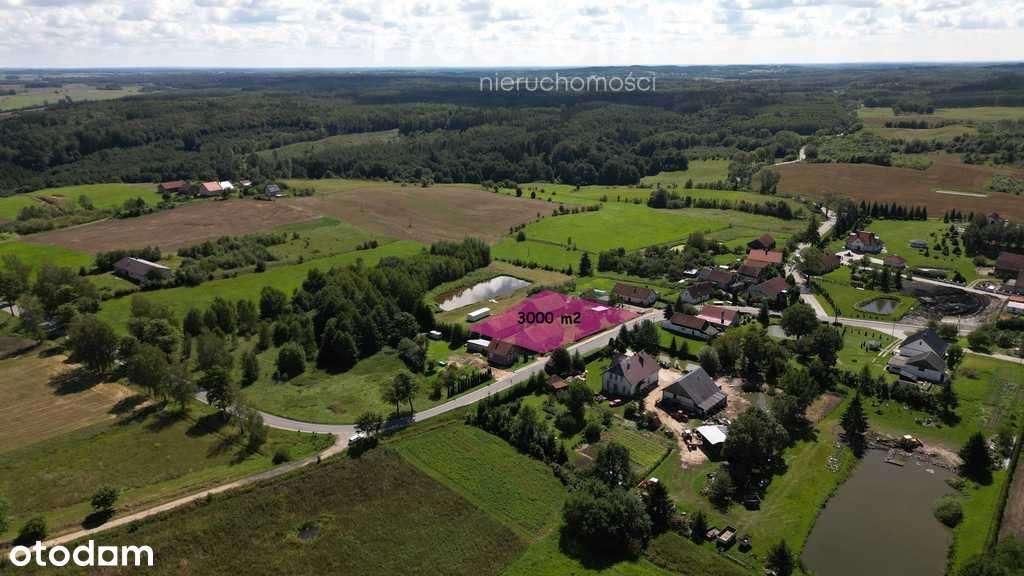 Obniżona cena sedliska w pieknej okolicy - Pełny obrazek: 4/12