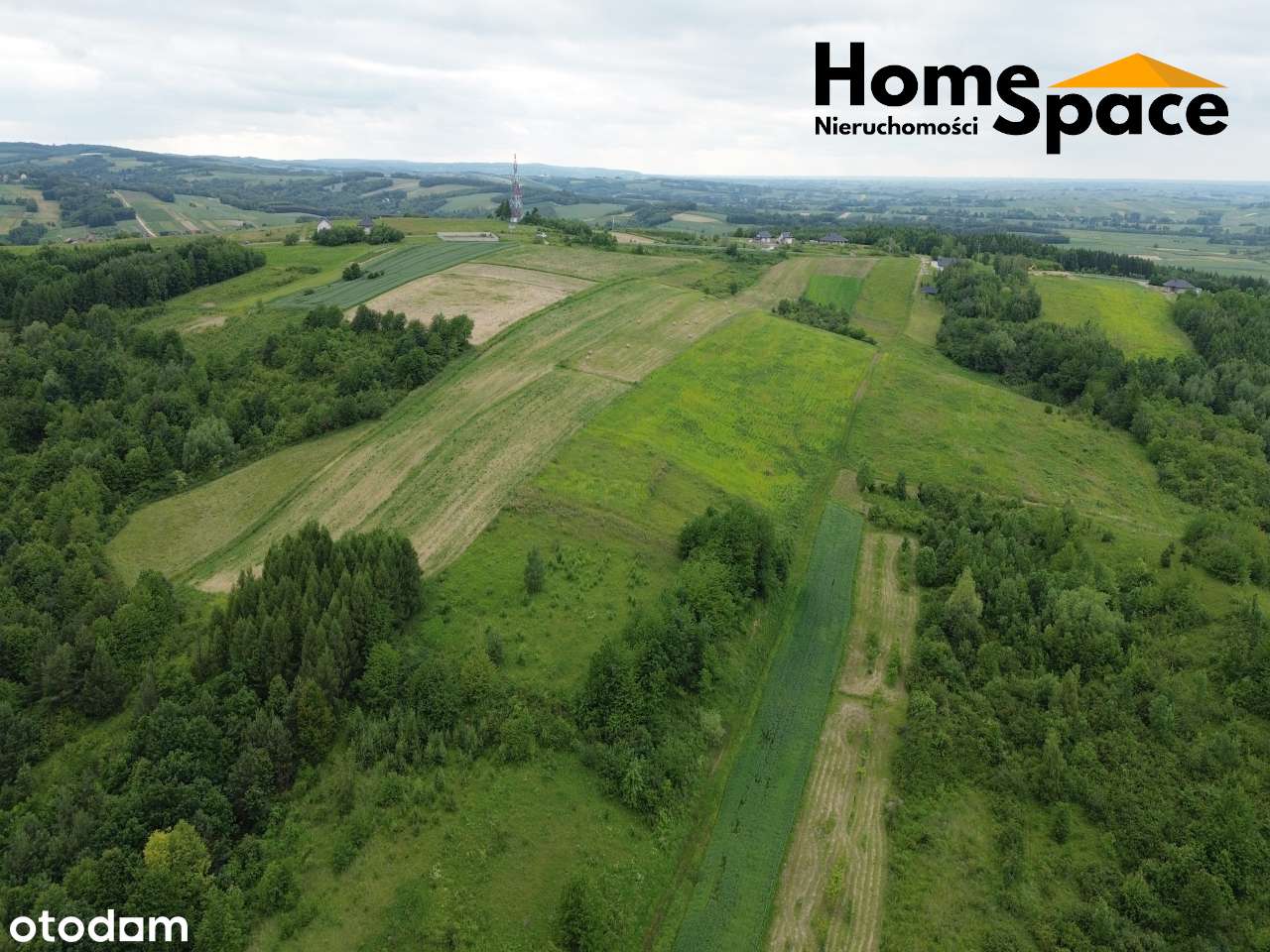 Działka 1,346 ha na sprzedaż, Pruchnik powiat jarosławski - Pełny obrazek: 5/5